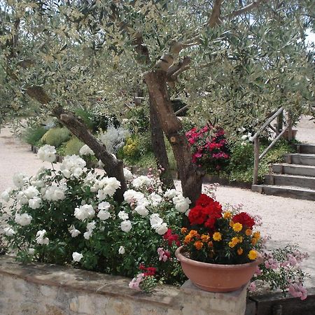 Tenuta Colverano Montefalco Zewnętrze zdjęcie