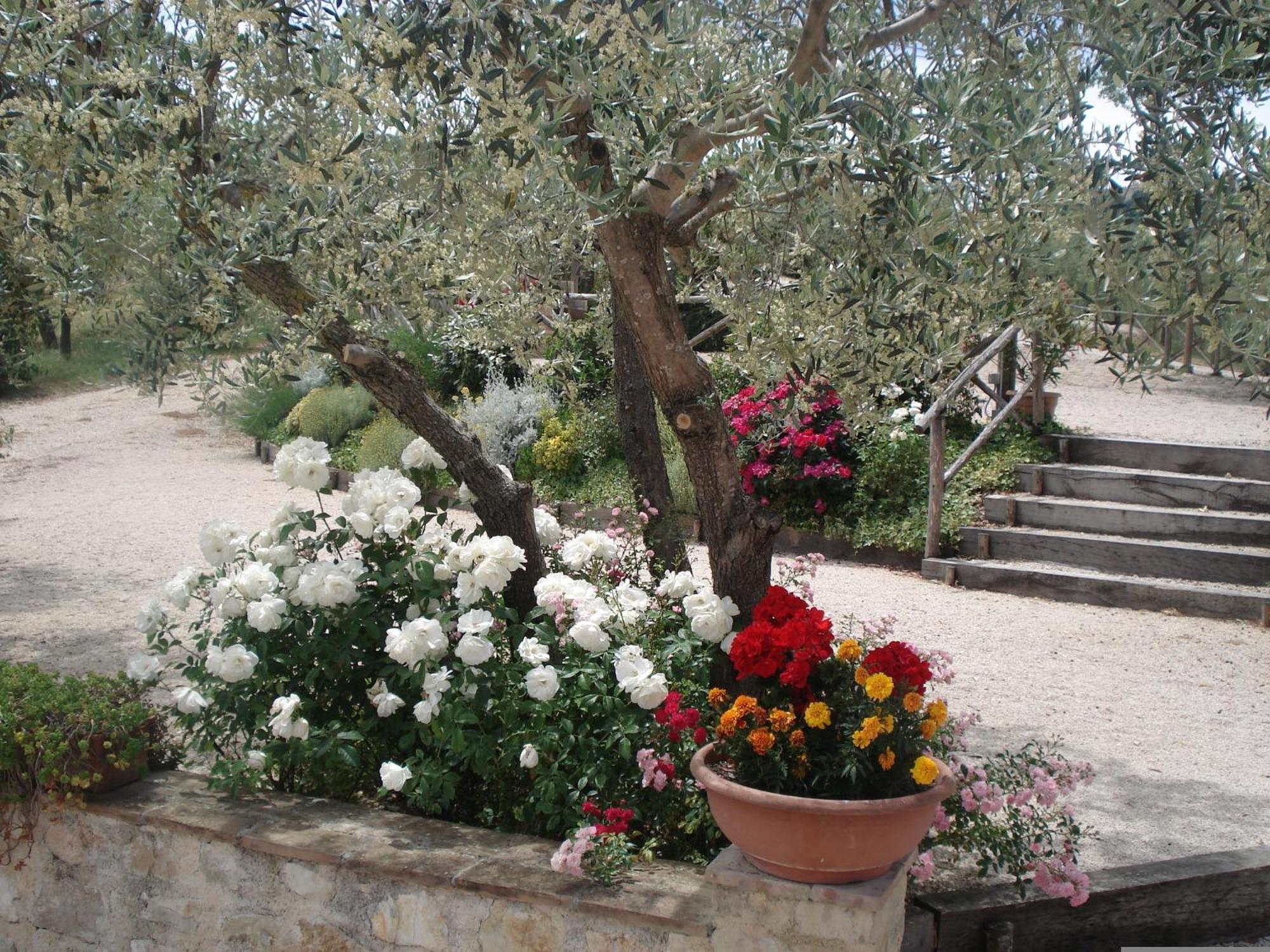 Tenuta Colverano Montefalco Zewnętrze zdjęcie