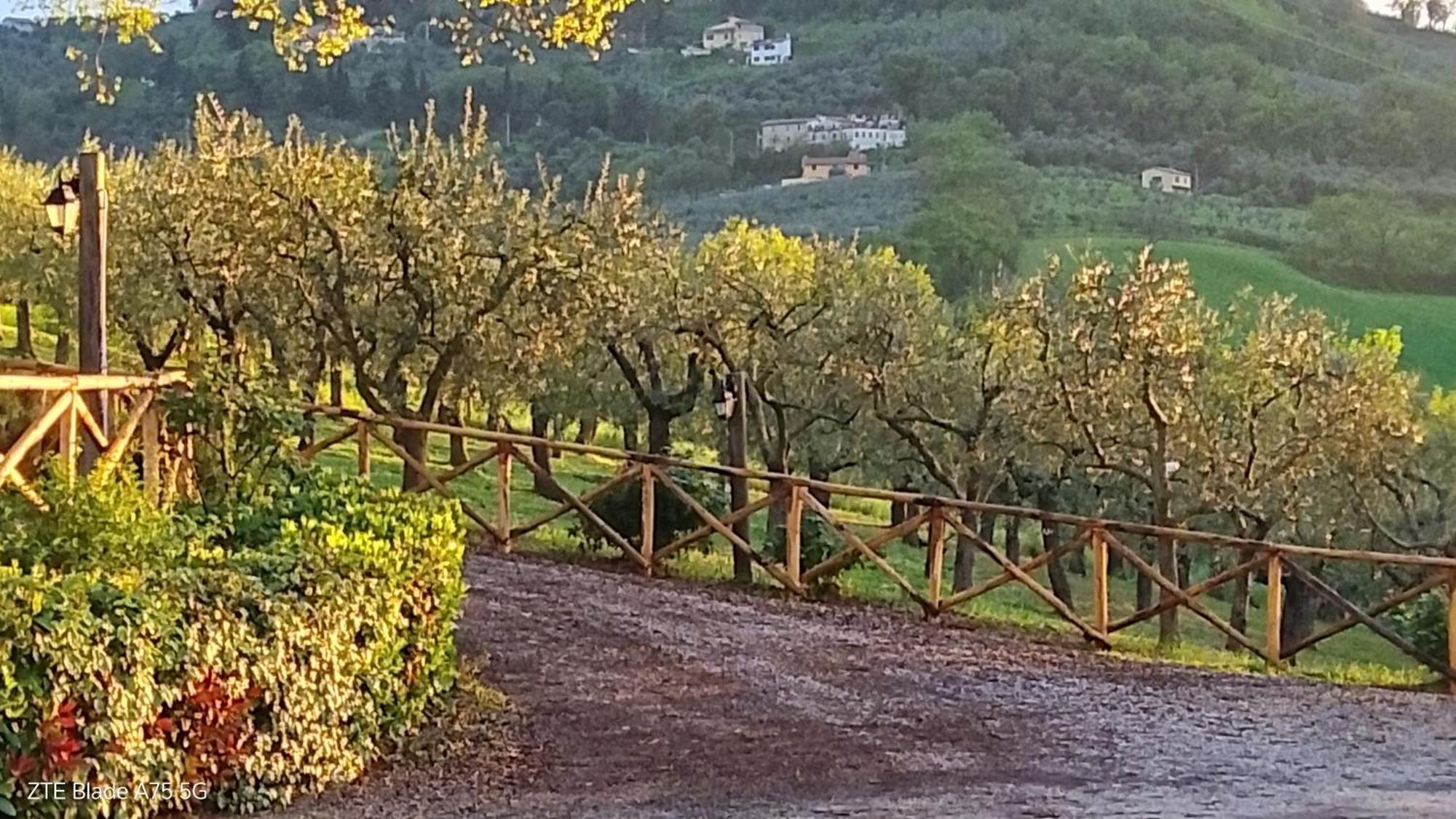 Tenuta Colverano Montefalco Zewnętrze zdjęcie