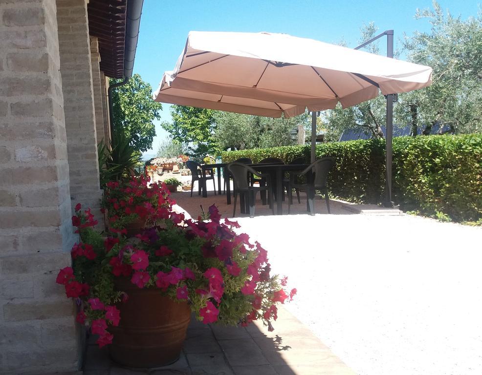Tenuta Colverano Montefalco Zewnętrze zdjęcie