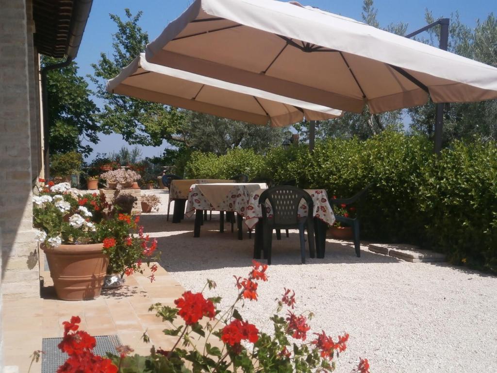 Tenuta Colverano Montefalco Zewnętrze zdjęcie