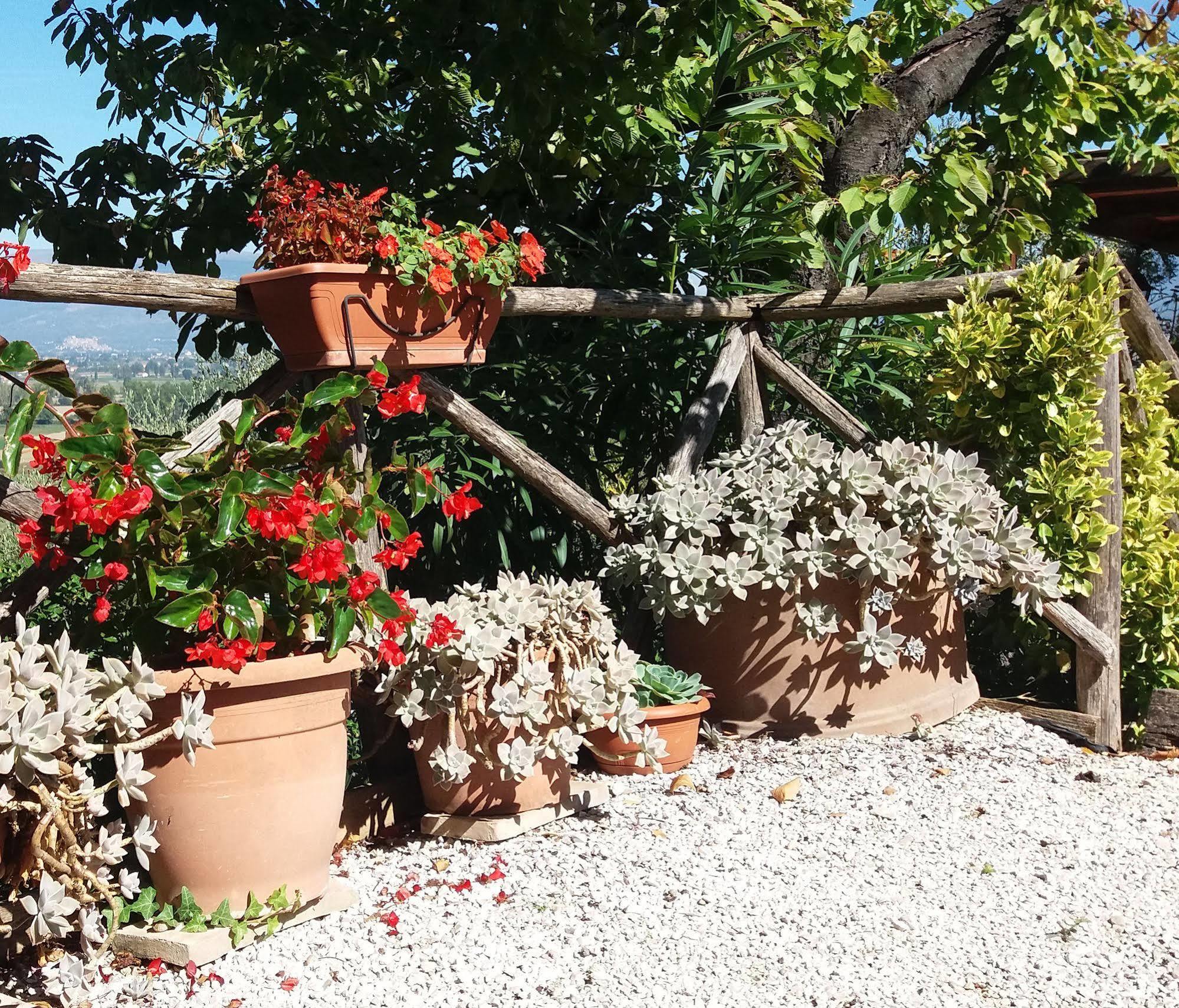 Tenuta Colverano Montefalco Zewnętrze zdjęcie