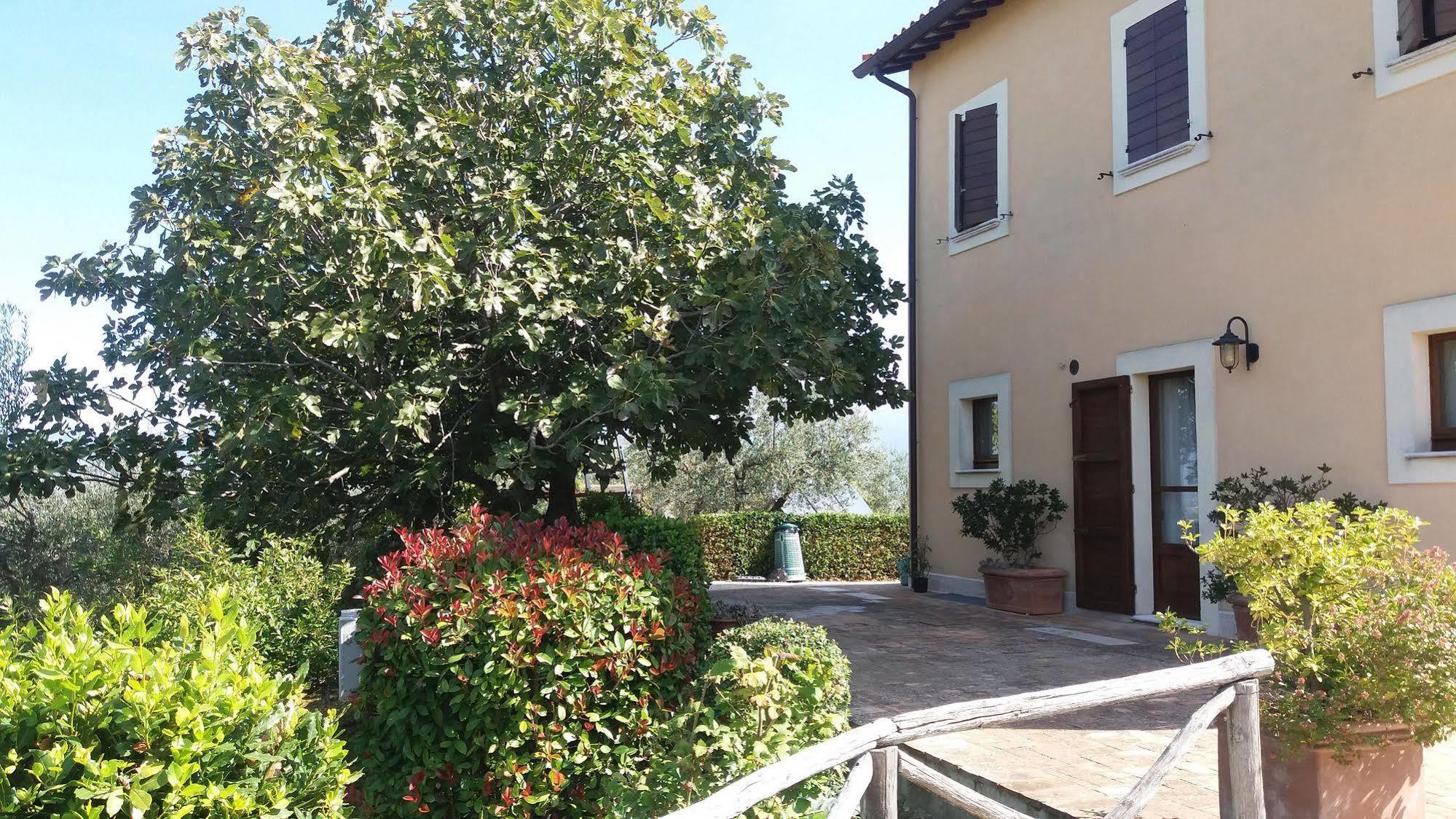 Tenuta Colverano Montefalco Zewnętrze zdjęcie