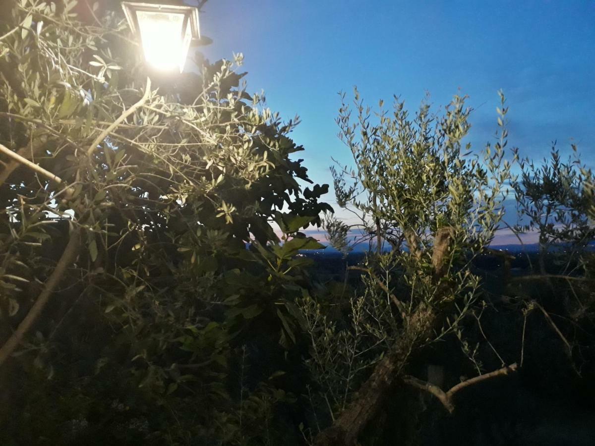 Tenuta Colverano Montefalco Zewnętrze zdjęcie