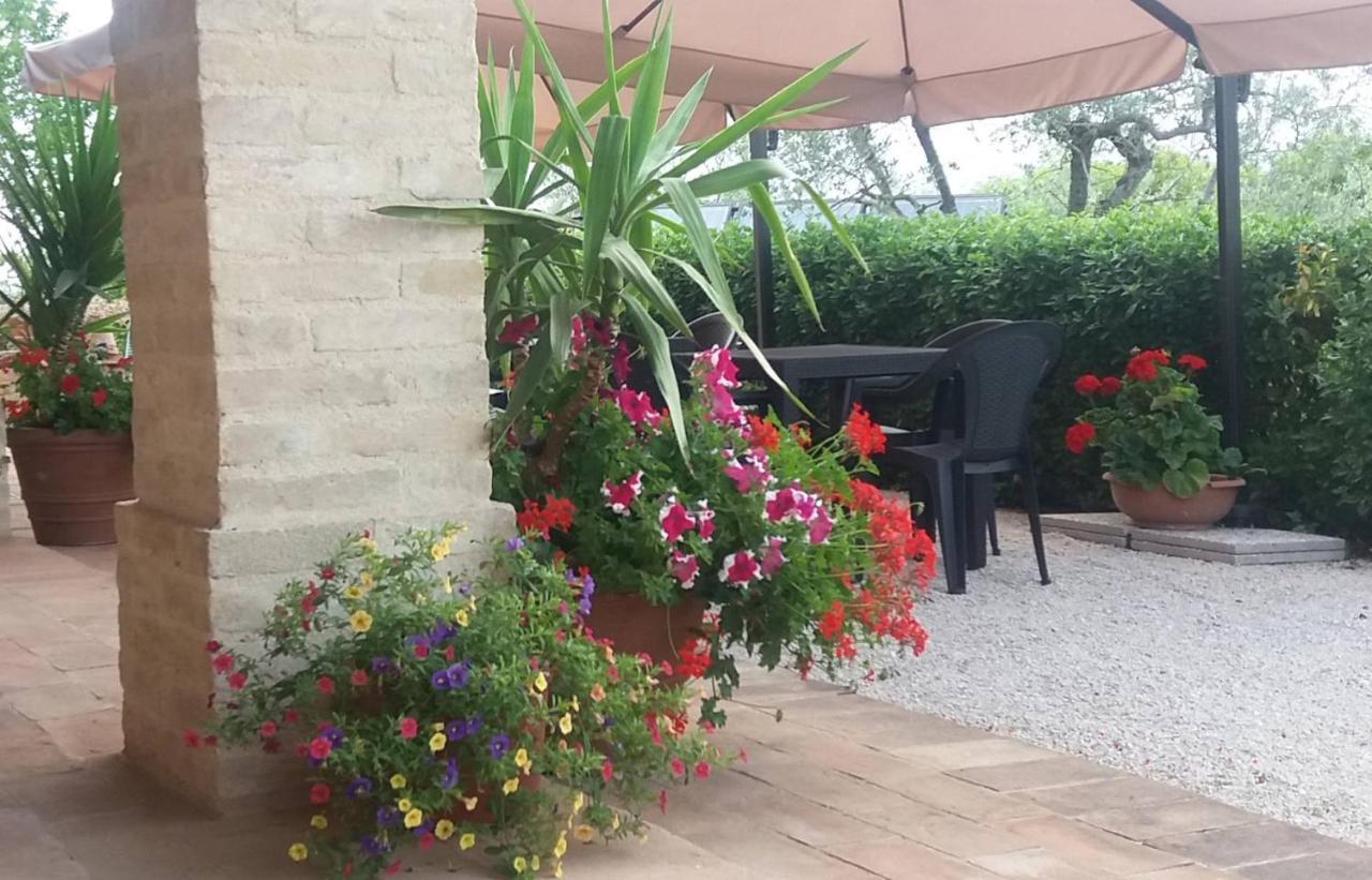 Tenuta Colverano Montefalco Zewnętrze zdjęcie